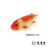 鯉魚年糕(細)(150g)16cm直x7cm闊